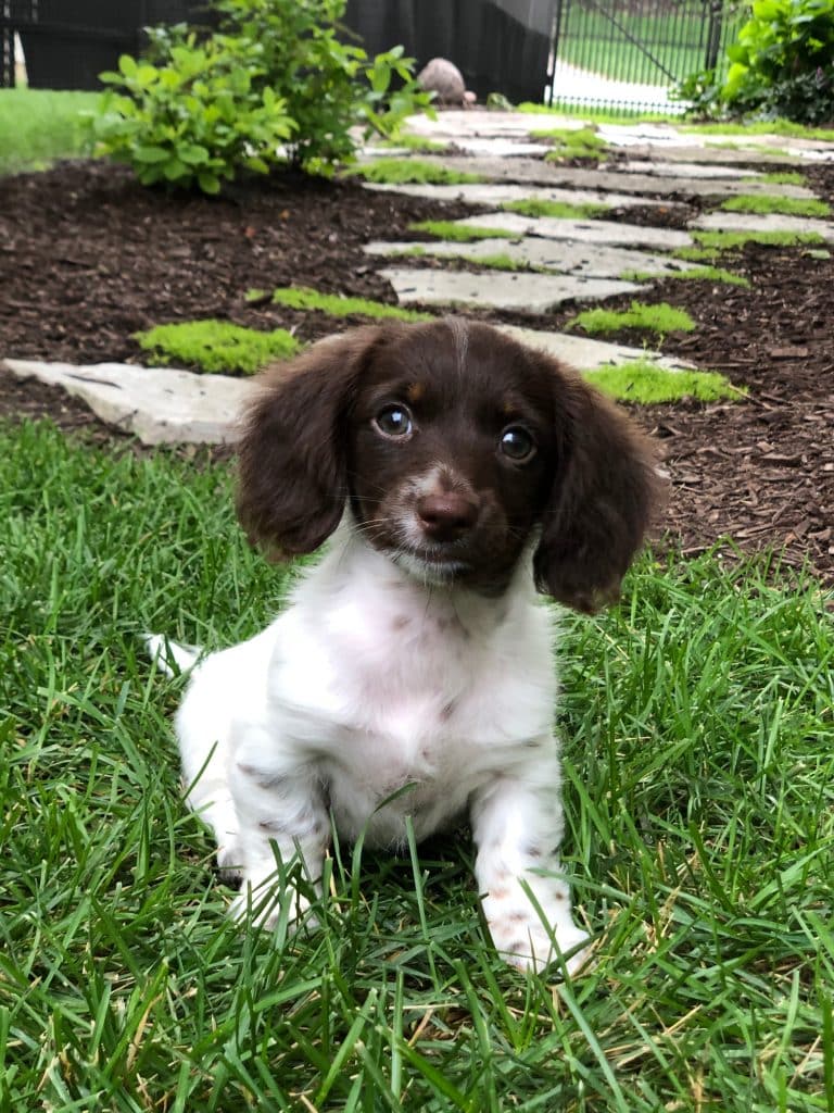 Lexi lives in Geneva, IL